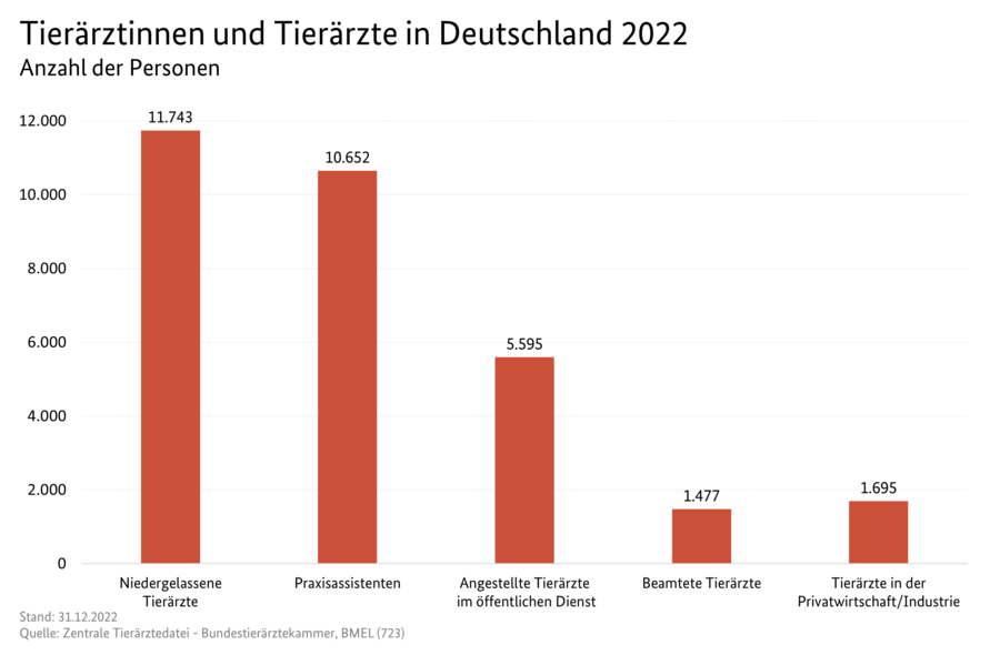 Säulendiagramm: Tierärztinnen und Tierärzte in Deutschland 2022. Datenquelle ist die Tabelle: 0106490-0000