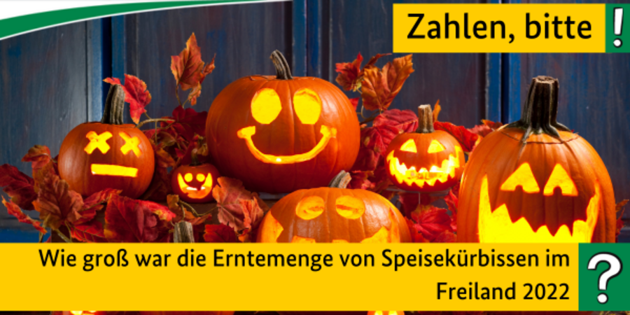 Im Hintergrund sind Halloween-Kürbisse zu sehen. Im Vordergrund steht die Frage:Wie groß war die Erntemenge von Speisekürbissen im Freiland 2022?