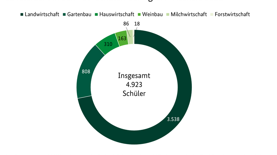 Kreisdiagramm beschreibt die Schüleranzahl in den Fachschulen der Agrarwirtschaft 2019. Landwirtschaft 3731, Weinbau 200, Gartenbau 818, Forstwirtschaft 19, Milchwirtschaft 91, Hauswirtschaft 290. Quelle: Länderministerien, Statistische Landesämter, Fachschulen, BLE, Referat 414.