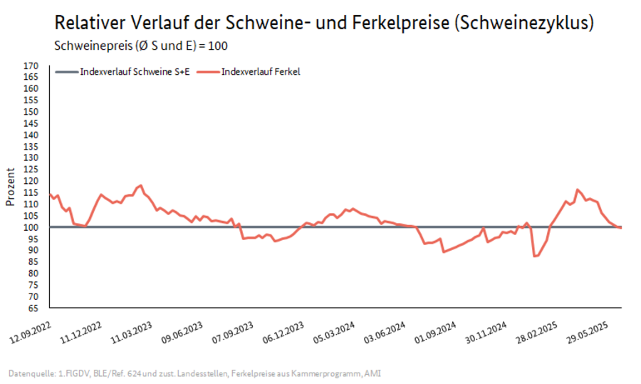 Schweinezyklus