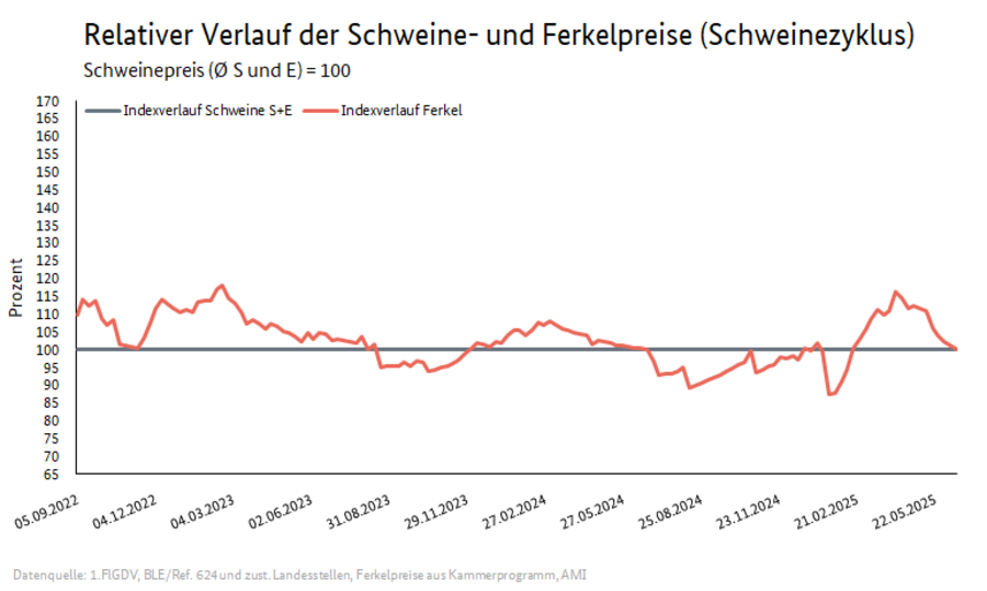 Schweinezyklus