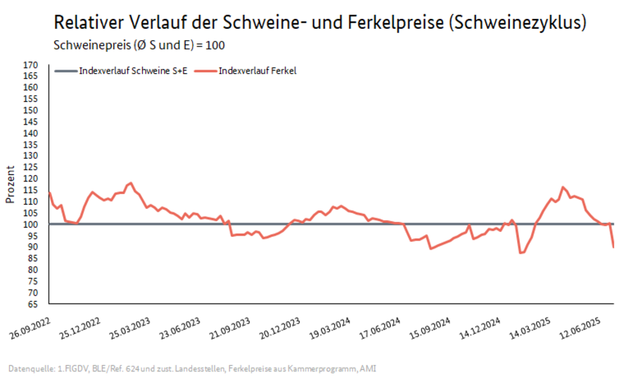 Schweinezyklus