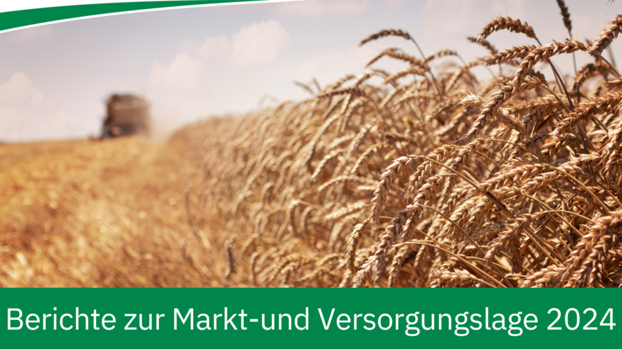 Berichte zur Markt- und Versorgungslage Berichte zur Markt- und Versorgungslage