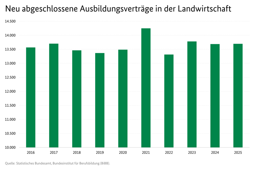Säulendiagramm: Neu abgeschlossene Ausbildungsverträge in der Landwirtschaft. Zeitreihe von 2015 bis 2024. Datenquelle: 0300100-2024.