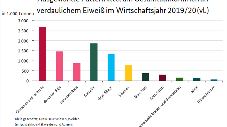 Ausgewählte Futtermittel am Gesamtaufkommen an verdaulichem Eiweiß im Wirtschaftsjahr 2019/20 (vl.) werden als Säulendiagramm dargestellt. Die Daten können aus der Tabelle "Tabellenübersicht Futteraufkommen 2019/20 (vorläufig)" entnommen werden.