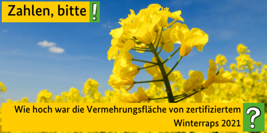 Zahlen, bitte! Wie hoch war die Vermehrungsfläche von zertifiziertem Winterraps 2021?
