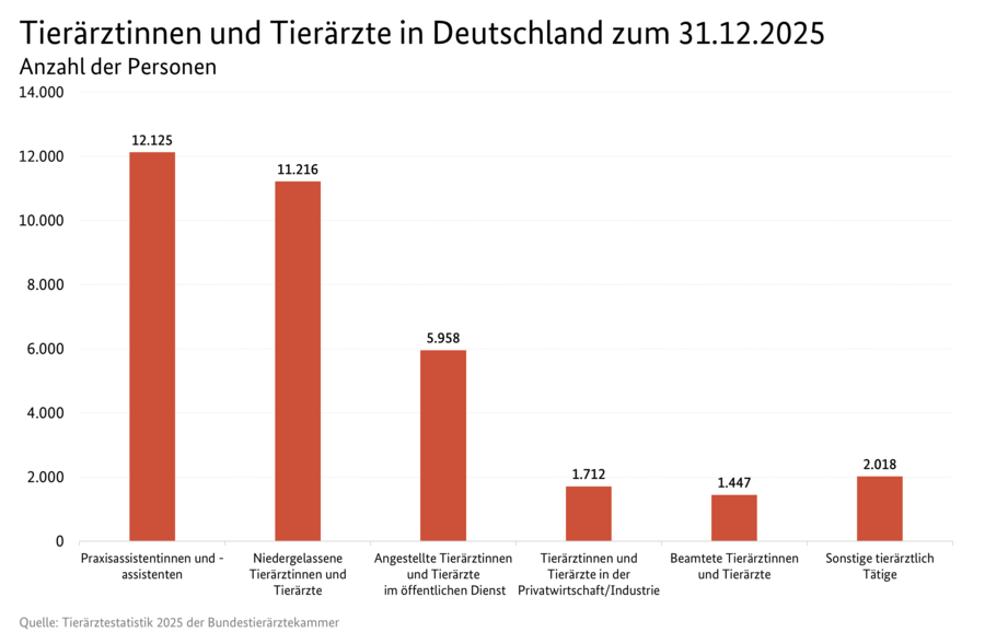 Säulendiagramm: Tierärztinnen und Tierärzte in Deutschland 2024