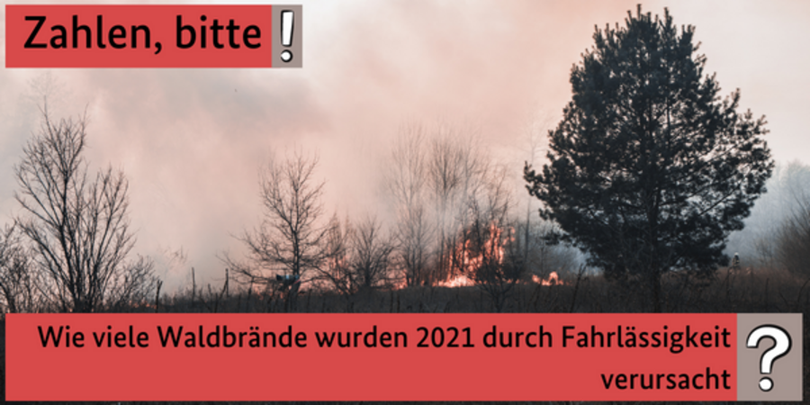 Quiz: Zahlen, bitte! - Wie viele Waldbrände wurden 2021 durch Fahrlässigkeit verursacht?