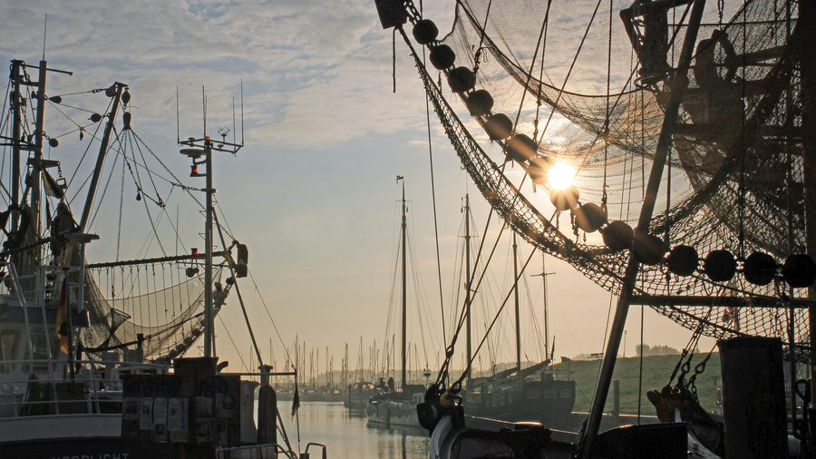 Fischerboote
