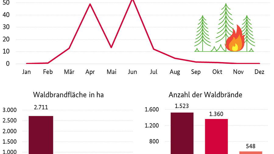 Infografik: Waldbrandstatistik 2021. Angegeben sind die Anzahl der Waldbrände und die Waldbrandfläche. Datenquelle ist die Waldbrandstatistik 2021.