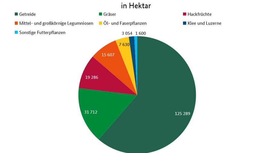Ein Kreisdiagramm stellt den Flächenanteil von landwirtschaftlichem erzeugten Saatgut für das Jahr 2020 dar. Die Produktion von Getreidesaatgut macht einen Anteil von 61 Prozent aus.