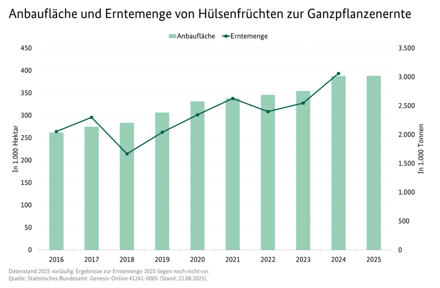 Säulendiagramm: Anbaufläche von Hülsenfrüchten zur Ganzpflanzenernte. Liniendiagramm: Erntemenge von Hülsenfrüchten zur Ganzpflanzenernte.