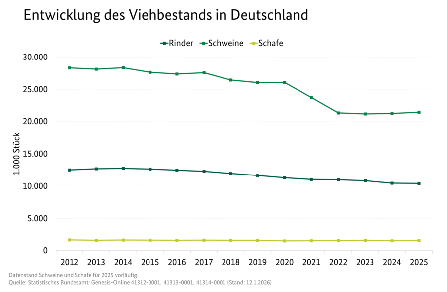 Liniendiagramm: Entwicklung des Viehbestands in Deutschland (Schweine, Rinder, Schafe). Datenquelle: Tabelle 3100200-0000.