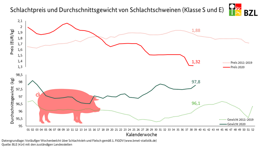 Liniendiagramm zeigt Entwicklung Schweinefleischpreis und Gewicht Schlachtschweine