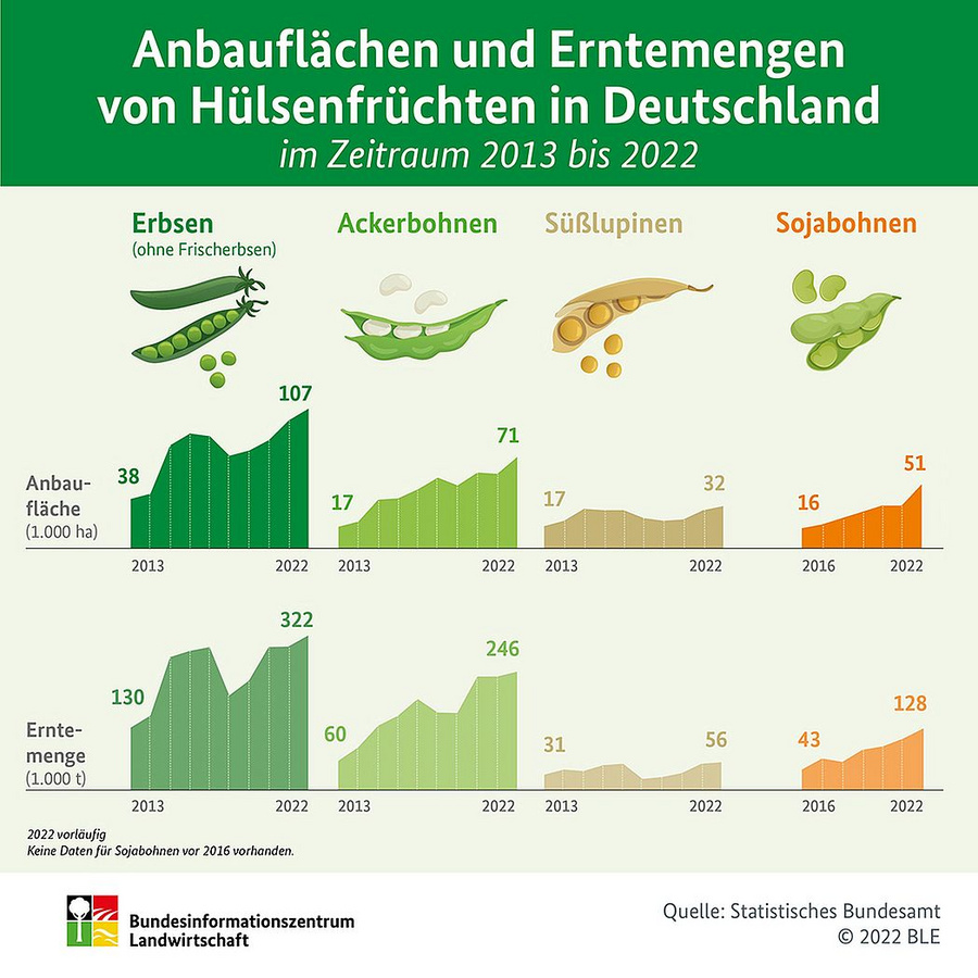 Infografik: Anbauflächen und Erntemengen von Hülsenfrüchten in Deutschland im Zeitraum 2013 bis 2022. Angaben zu Erbsen (ohne Frischerbsen), Ackerbohnen, Süßlupinen und Sojabohnen. 