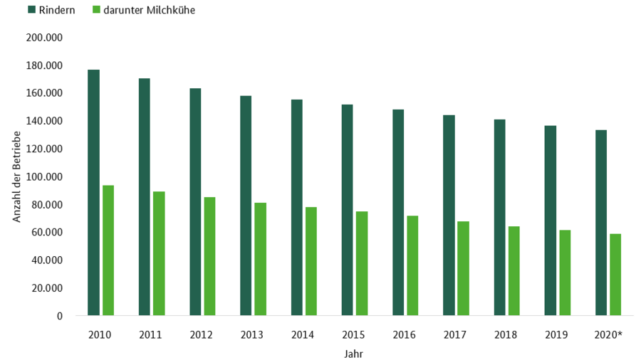 Ein Balkendiagramm stellt die Anzahl der rinderhaltenden Betriebe und deren mit Milchkühen für den Zeitraum von 2010 bis 2020 (vorläufig) dar. Die Daten sind aus der Jahrbuchtabelle SJT-3100300-0000 Zahl der Haltungen / Betriebe mit Tieren 