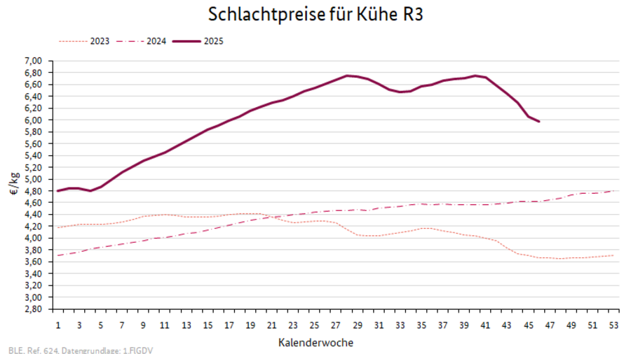 Preisverlauf Jungbullen R3