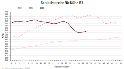 Liniendiagramm: Preisverlauf Schlachtpreise für Kühe R3
