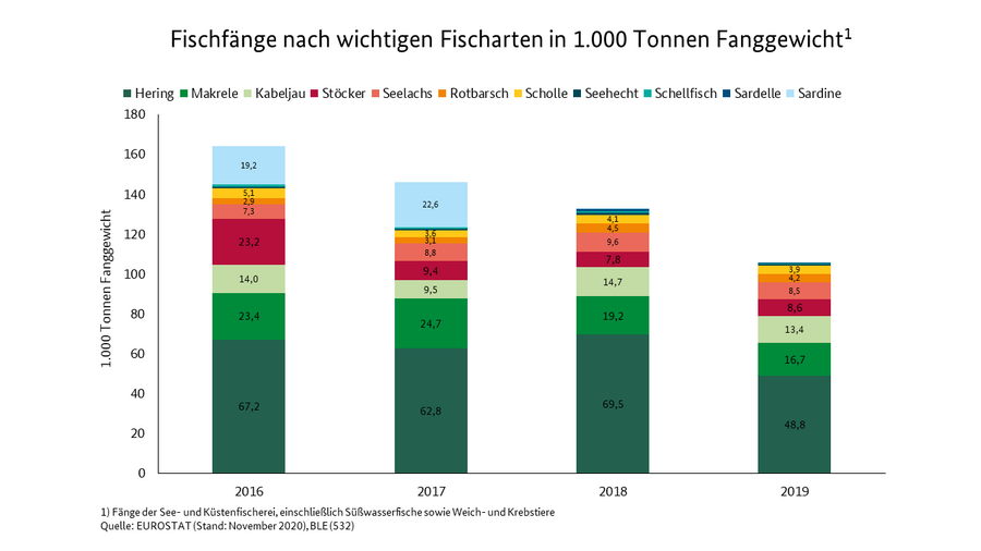 Ein Säulendiagramm stellt die Fischfänge nach wichtigen Fischarten in Deutschland dar. Die Daten erhalten Sie in der Jahrbuchtabelle 8032700. 