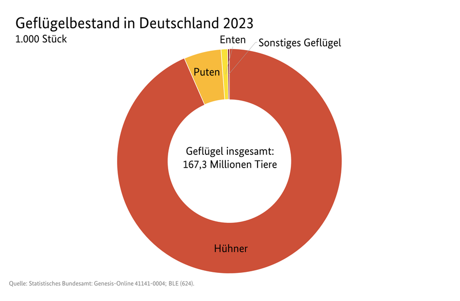 Kreisdiagramm: Anteil verschiedener Geflügelarten am Geflügelbestand in Deutschland . Datenquelle: 3101900-0000.