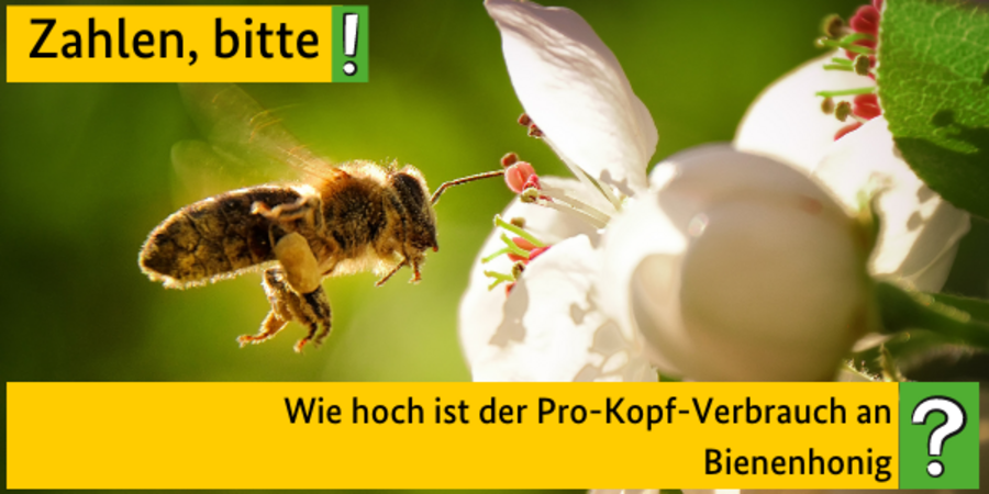 Zahlen, bitte! Wie hoch ist der Pro-Kopf-Verbrauch an Bienenhonig?