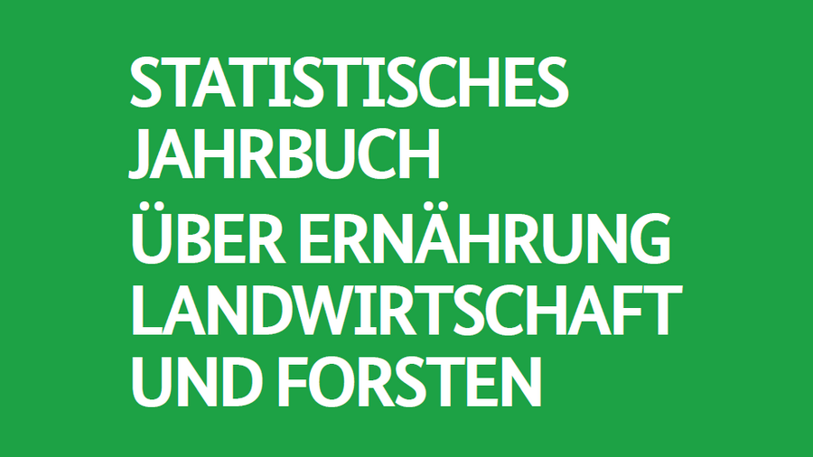 Titelblatt des Statistisches Jahrbuch 2019