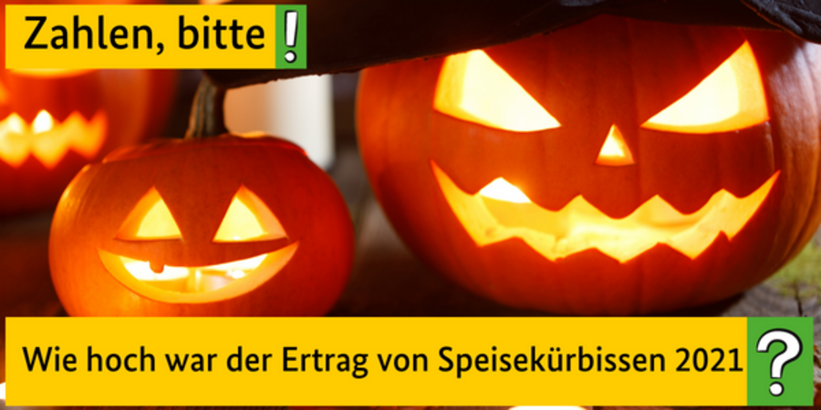 Wie hoch war der Ertrag von Speisekürbissen im Freiland 2021?