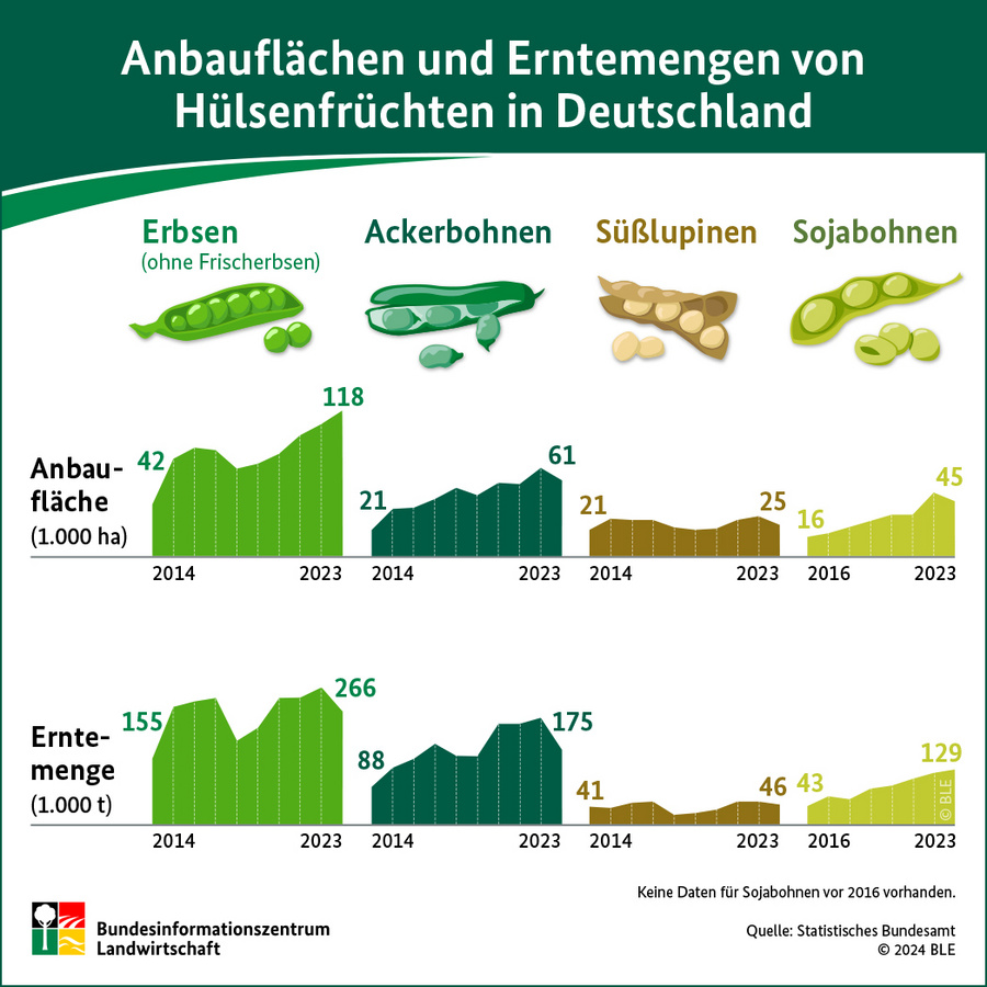 Infografik: Anbauflächen und Erntemengen von Hülsenfrüchten in Deutschland im Zeitraum 2014 bis 2023