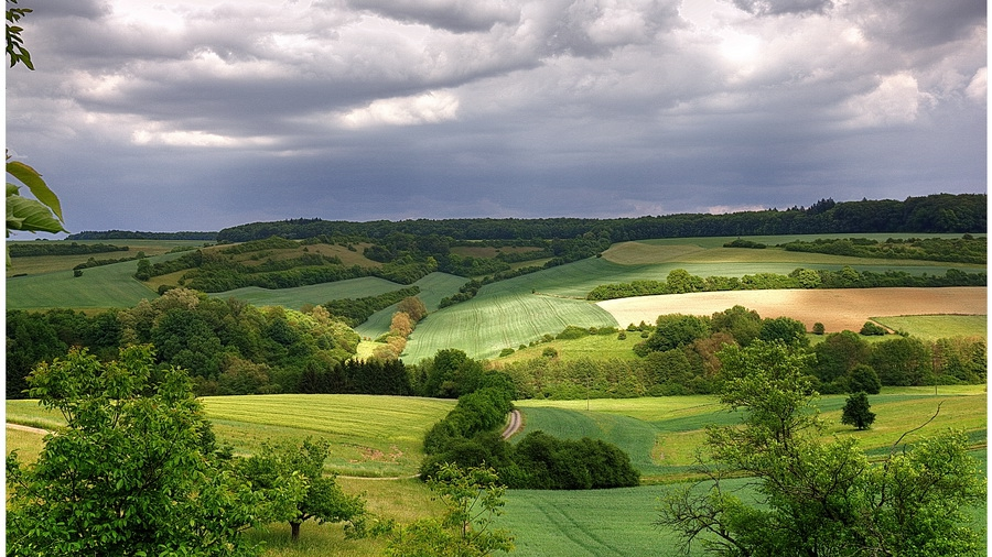 Landwirtschaftliche Felder in Deutschland