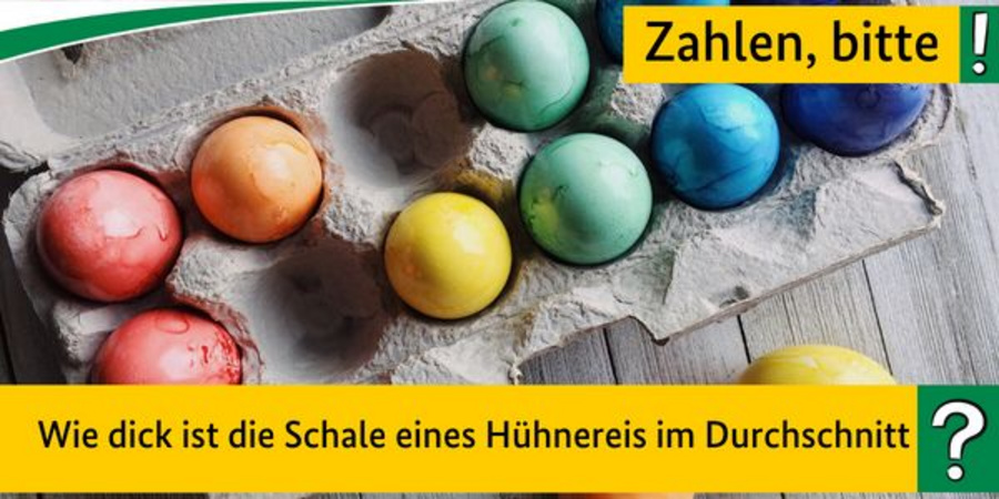 Eier