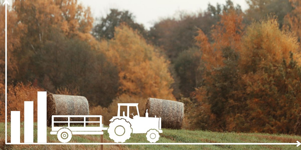 BMEL-Statistik Traktor vor einer Wiese mit Heuballen