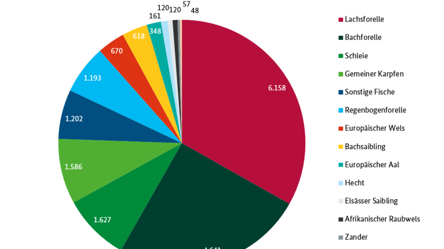 Das Kreisdiagramm gibt die erzeugte Menge an Fischen in Aquakulturen wieder. Datenursprung dieser Grafik ist die Jahrbuchtabelle SJT-4061100-2019. Dort Erzeugung (kg) in Betrieben mit jährlich erzeugter Menge insgesamt 