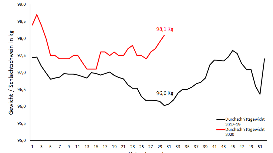 Das Liniendiagramm zeigt die Durchschnittsgewichte von Schlachtschweinen der Handelskasse E. Die Linie für das Jahr 2020 ist schwarz. Für die 30. Kalenderwoche zeigt es ein Gewicht von 98,1 kg. Die rote Linie zeigt das Durchschnittsgewicht für die Jahre 2017 bis 2019 mit einem Gewicht von 96 kg in der gleichen Kalenderwoche. Seit der 15 Kalenderwoche liegt die schwarze Kurve deutlich über der roten.