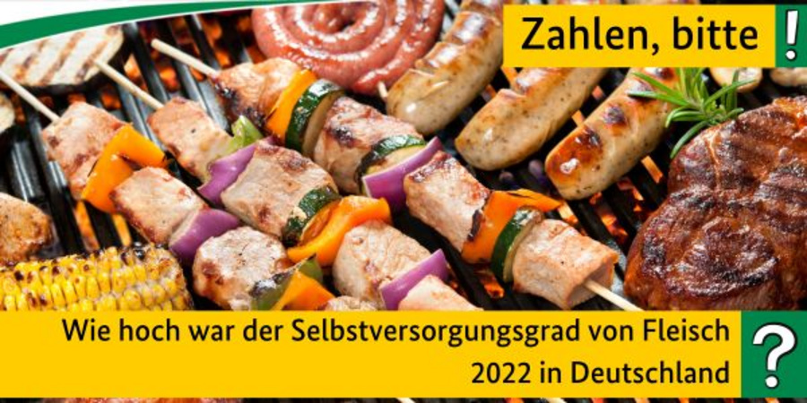 Wie hoch war der Selbstversorgungsgrad von Fleisch 2022 in Deutschland?