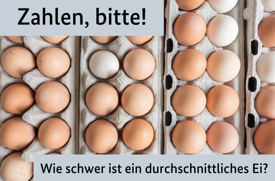 Bild von Eiern im Eierkarton. Texteinhalt: Zahlen, bitte! Wie scher ist ein durchschnittliches Ei?
