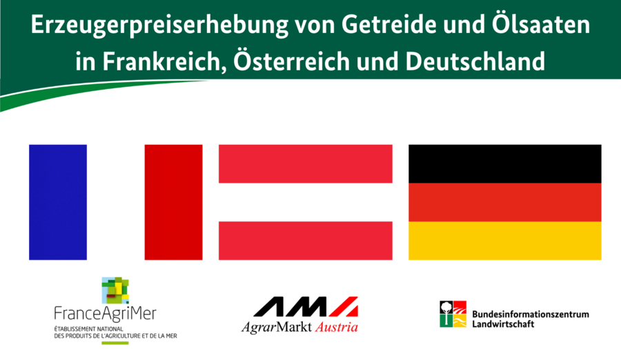 Erzeugerpreiserhebung von Getreide und Ölsaaten in Frankreich, Österreich und Deutschland Erzeugerpreiserhebung von Getreide und Ölsaaten in Frankreich, Österreich und Deutschland. Zu sehen sind von links nach rechts die französische, die österreichische und die deutsche Flagge. Darunter ist jeweils entsprechend das Logo von FranceAgrimer, Agrarmarkt Austria und dem Bundesinformationszentrum Landwirtschaft.