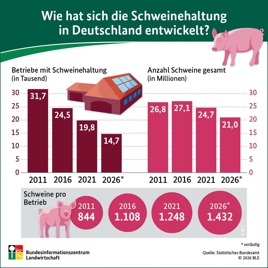 Säulen- und Kreisdiagramm zu den Schweinebeständen und schweinehaltenden Betrieben