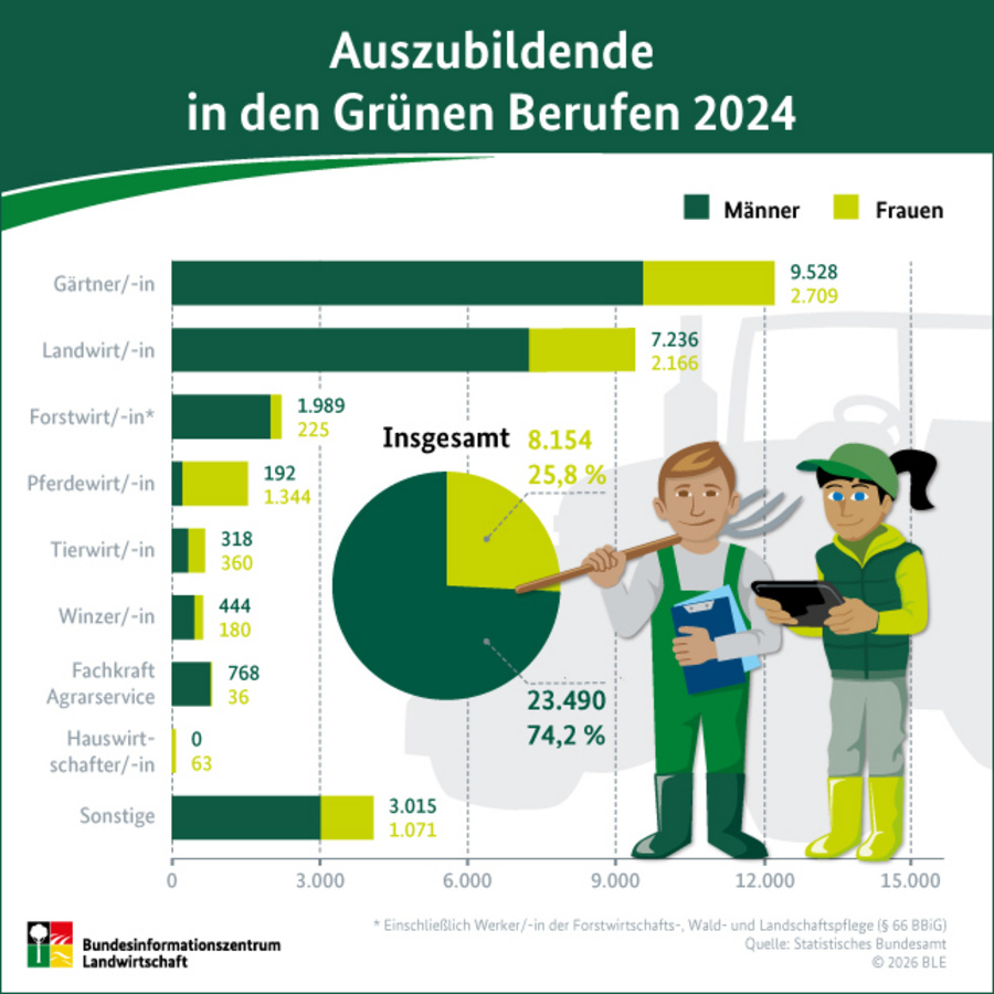Balkendigramm: Auszubildende in den Grünen Berufen 2024