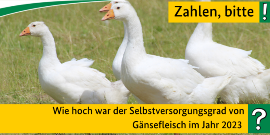 Quiz Zahlen, bitte! Wie hoch war der Selbstversorgungsgrad von Gänsefleisch im Jahr 2023?