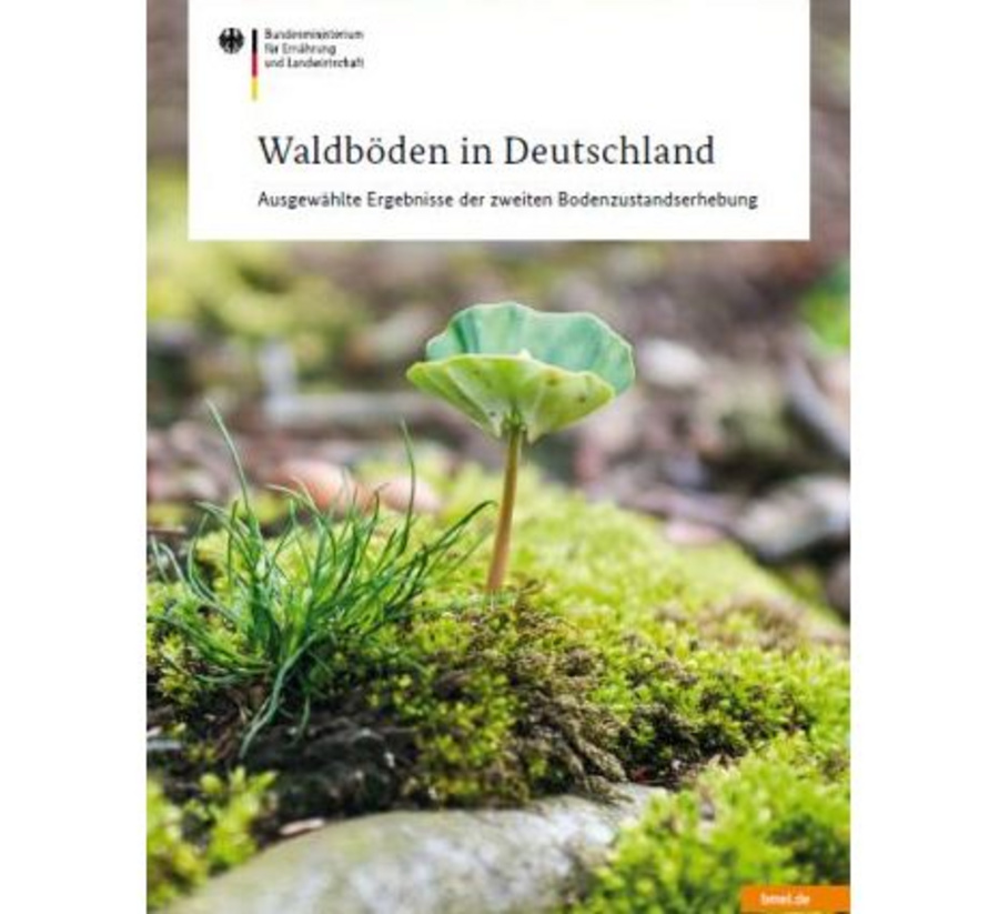 Titelblatt der Broschüre zur Bodenzustandserhebung. Zu sehen Nahaufnahme eines Keimlings mit zwei Keimblättern im Wald. Der Boden ist mit Moos bewachsen.