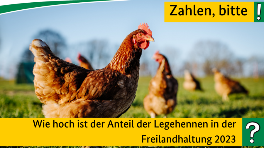 Quiz März 2024