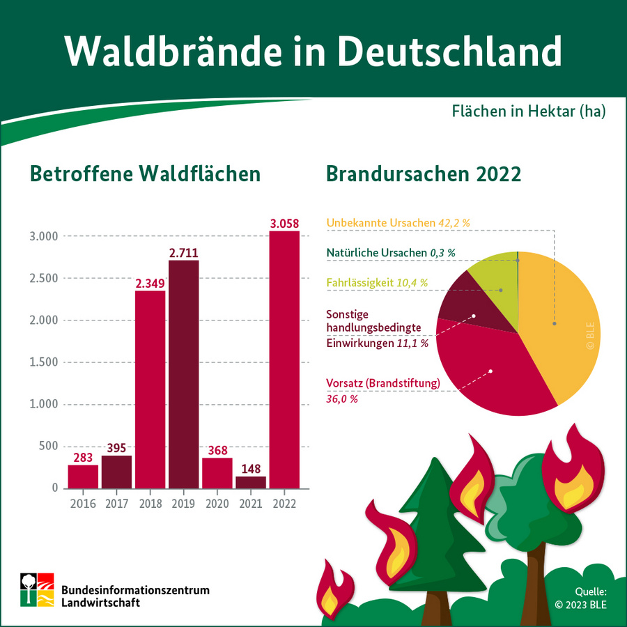 Infografik: Waldbrandstatistik 2022. Angegeben sind die Waldbrandfläche und die Brandursachen. Datenquelle ist die Waldbrandstatistik 2022.