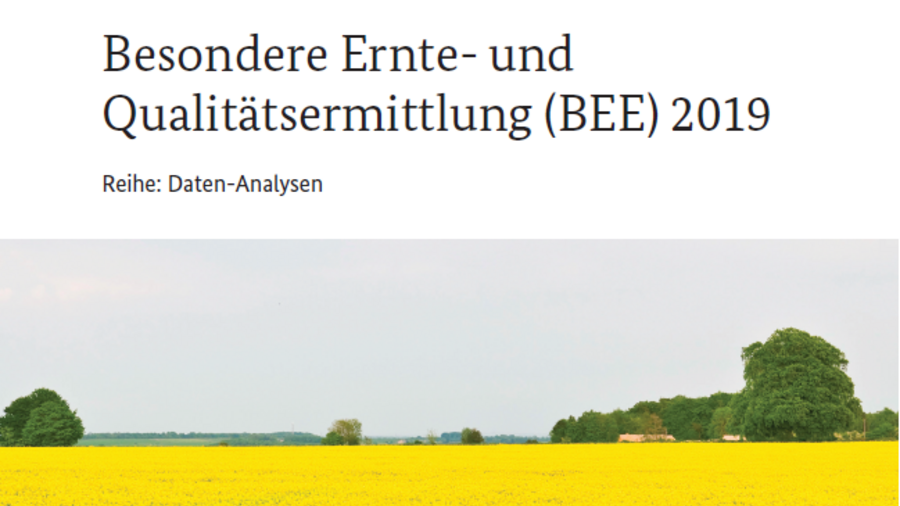 Titelblatt der Broschüre BEE 2019.