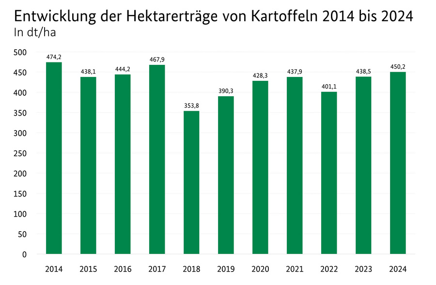  Balkendiagramm: Entwicklung der Hektarerträge (dt/ha) von Kartoffeln 2014 bis 2024.