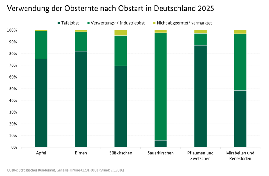 Gestapeltes Säulendiagramm: Verwendung der Obsternte nach Obstart in Deutschland 2024 in Prozent. 