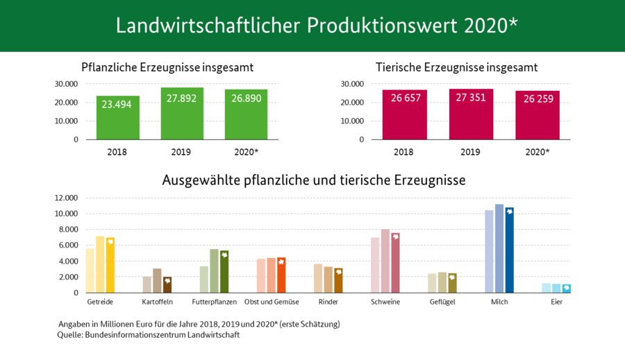 Balkendiagramm gibt den landwirtschaftlichen Produktionswert in Millionen Euro für die Jahre 2018, 2019 und 2020 (erste Schätzung) an. Pflanzliche Erzeugnisse insgesamt: 2018: 23494, 2019: 27892, 2020: 26890. Tierische Erzeugnisse: 2018: 26657, 2019: 27351, 2020: 26259. Quelle: Bundesinformationszentrum Landwirtschaft.