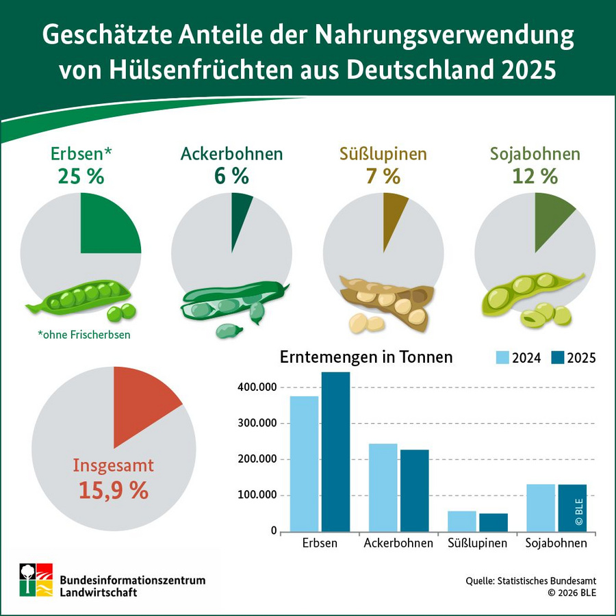 Infografik: Geschätzte Anteile der Nahrungsverwendung von Hülsenfrüchten in Deutschland 2025